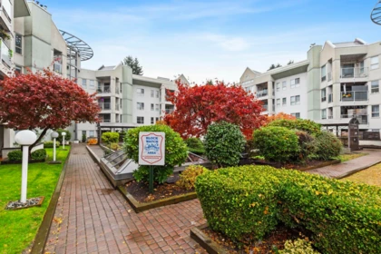 Swimming Pool Photo of 208 2575 Ware Street, Abbotsford, BC