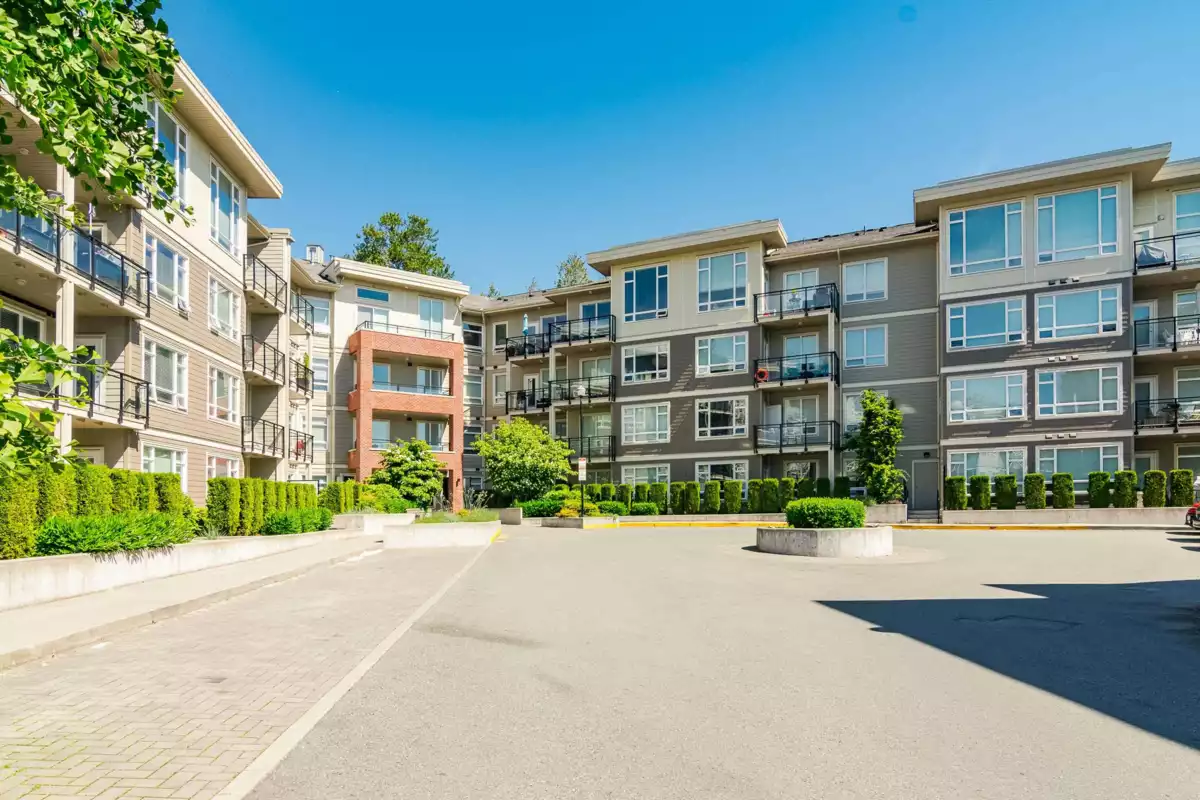 Kitchen Photo of C410 20211 66 Avenue, Langley, BC
