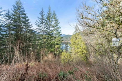 66176 Kawkawa Lake Road, Hope, BC, Hope — Single Family Residence for sale