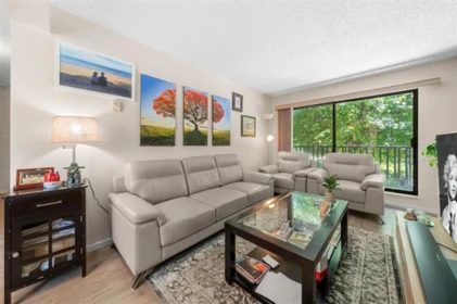 Powder Room Photo of 113 9952 149 Street, Surrey, BC