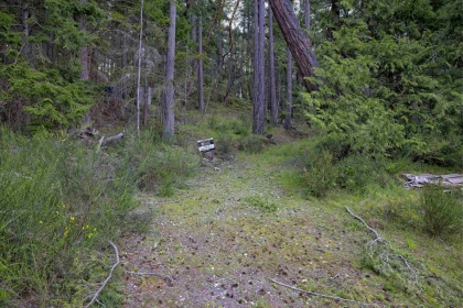 Office / Den Photo of 240 Old Scott Road, Salt Spring Island, BC