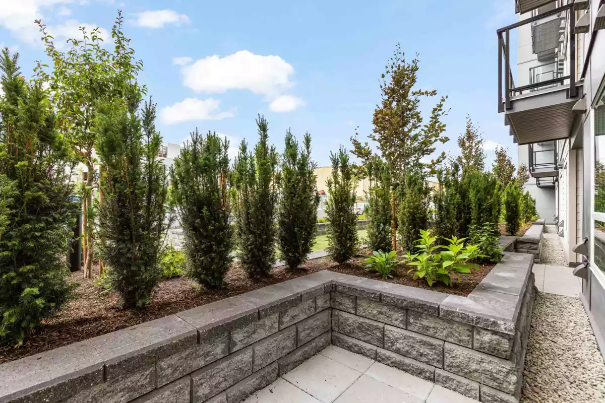 Family Room Photo of 106 30494 Cardinal Avenue, Abbotsford, BC