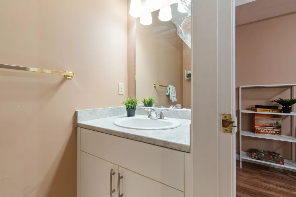 Aerial View of 3268 Vincent Street, Port Coquitlam, BC