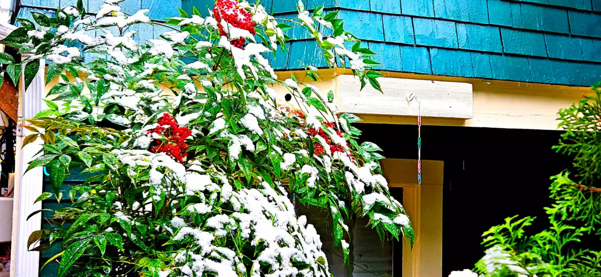 Walk-In Closet Photo of 2635 W 7th Avenue, Vancouver, BC
