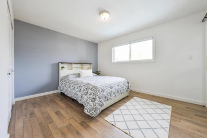 Walk-In Closet Photo of 31921 Starling Avenue, Mission, BC