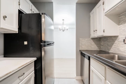 Primary Bathroom Photo of 104 707 Hamilton Street, New Westminster, BC