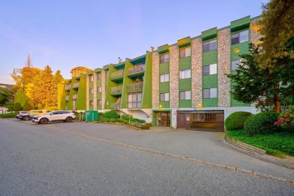 Aerial View of 109 9202 Horne Street, Burnaby, BC