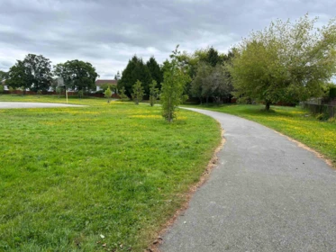 Garden / Landscaping Photo of 517 9651 Glendower Drive, Richmond, BC