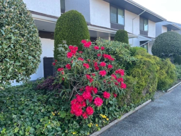 Outdoor Deck Photo of 517 9651 Glendower Drive, Richmond, BC