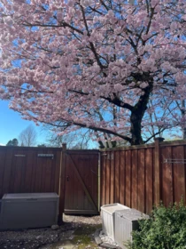 Outdoor Patio Photo of 517 9651 Glendower Drive, Richmond, BC