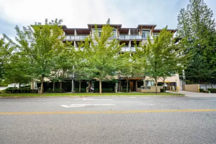 209 15388 105 Avenue, Surrey, BC, Surrey — Apartment/Condo for sale