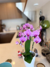 Guest Bathroom Photo of 218 6033 Gray Avenue, Vancouver, BC