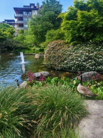 Neighborhood Park Photo Near 218 6033 Gray Avenue, Vancouver, BC