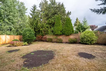 Outdoor Kitchen Photo of 6982 128a Street, Surrey, BC