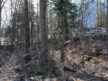 696 Hudson Bay Street, Hope, BC, Hope — Land for sale