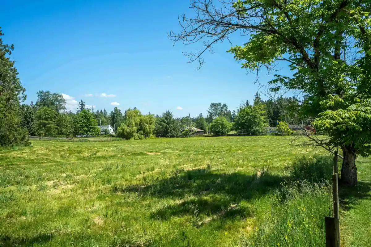 Exterior Rear Photo of 333 224 Street, Langley, BC