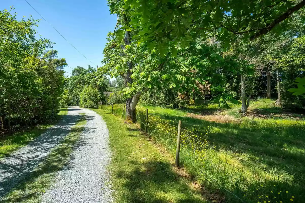 Living Room Photo of 333 224 Street, Langley, BC