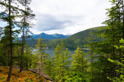 Outdoor Patio Photo of 1029 Center Bay Road, Gambier Island, BC