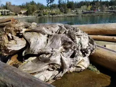 Playground / Recreational Area Near 157 Jack Road, Galiano Island, BC