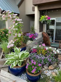 Garden / Landscaping Photo of 103 3 K De K Court, New Westminster, BC