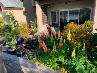 Outdoor Patio Photo of 103 3 K De K Court, New Westminster, BC