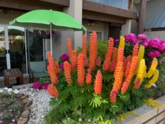 103 3 K De K Court, New Westminster, BC