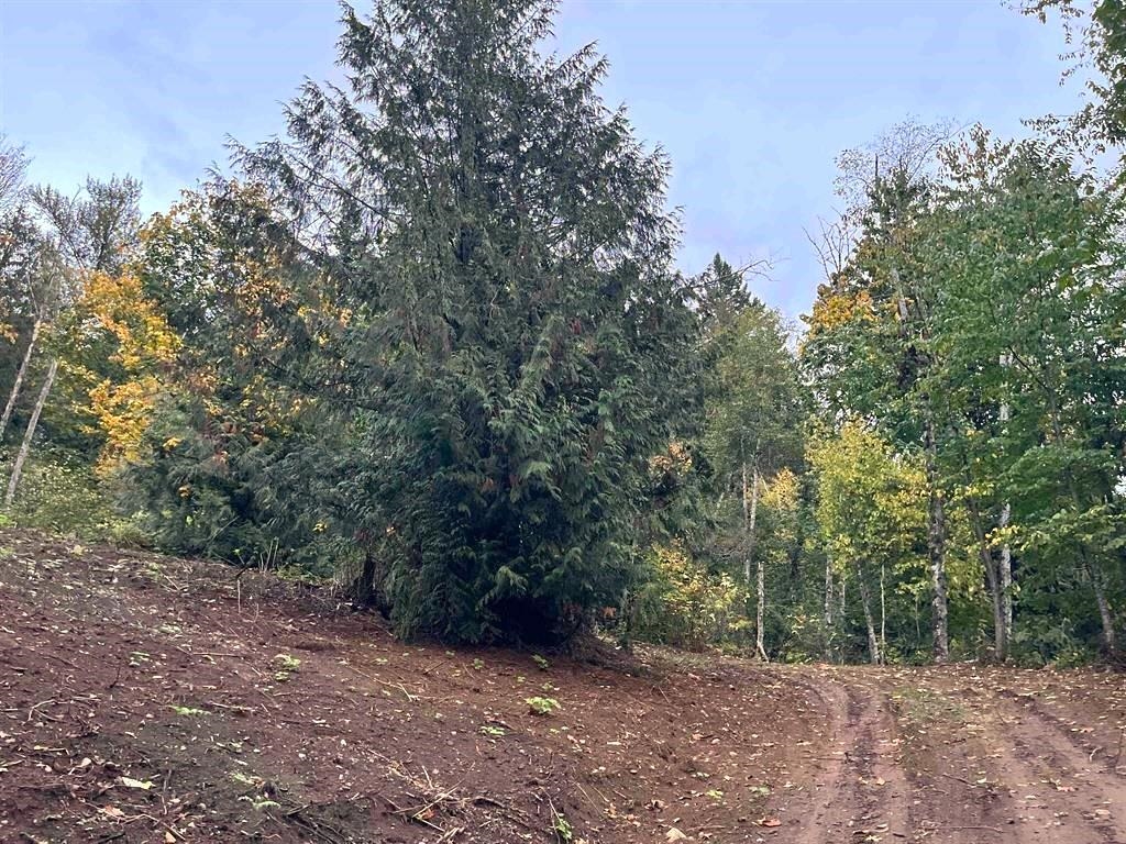 Pantry Photo of 48875 Elk View Road, Chilliwack, BC