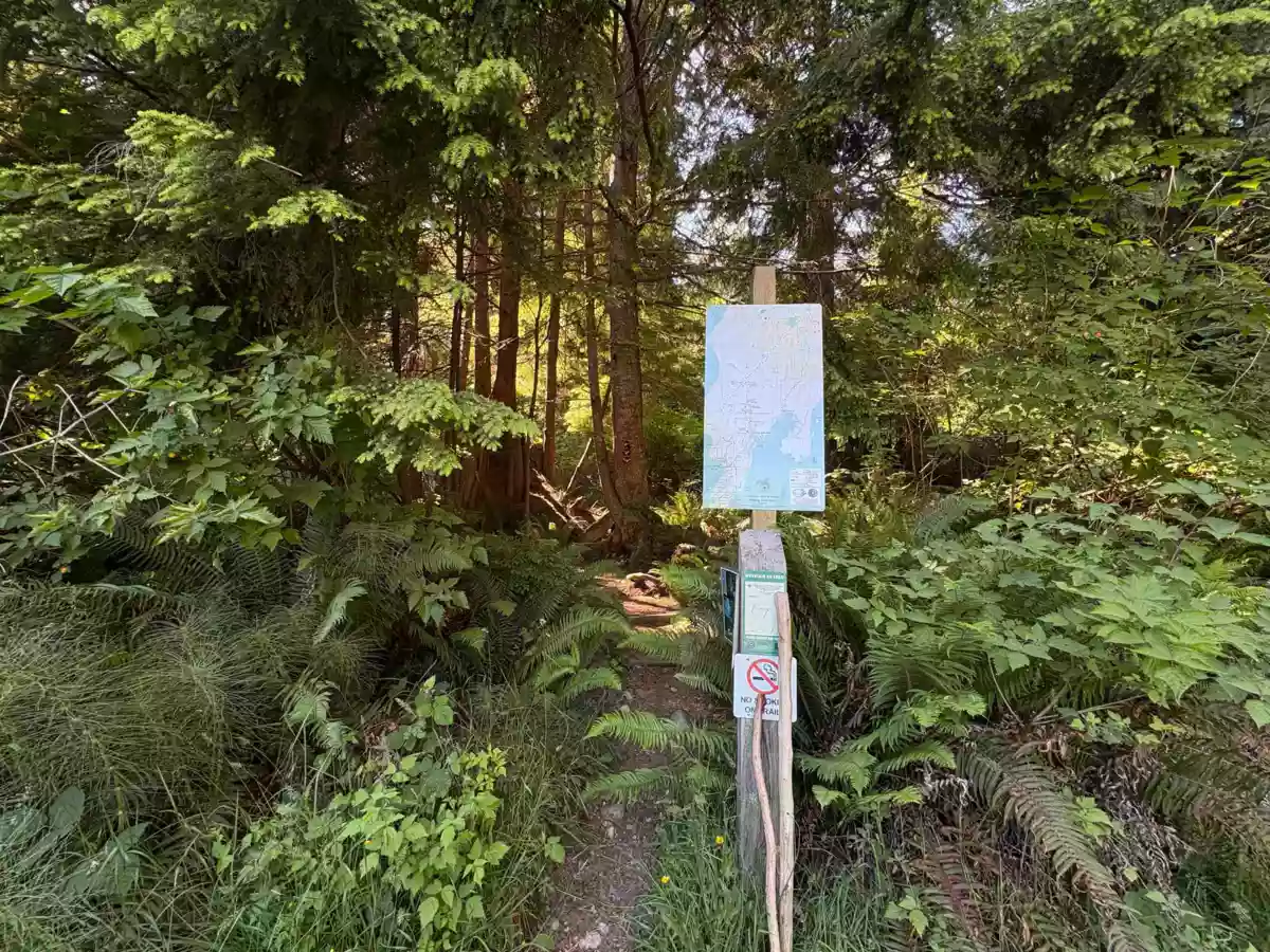 Basement Recreation Room Photo of 883 West Bay Road, Gambier Island, BC