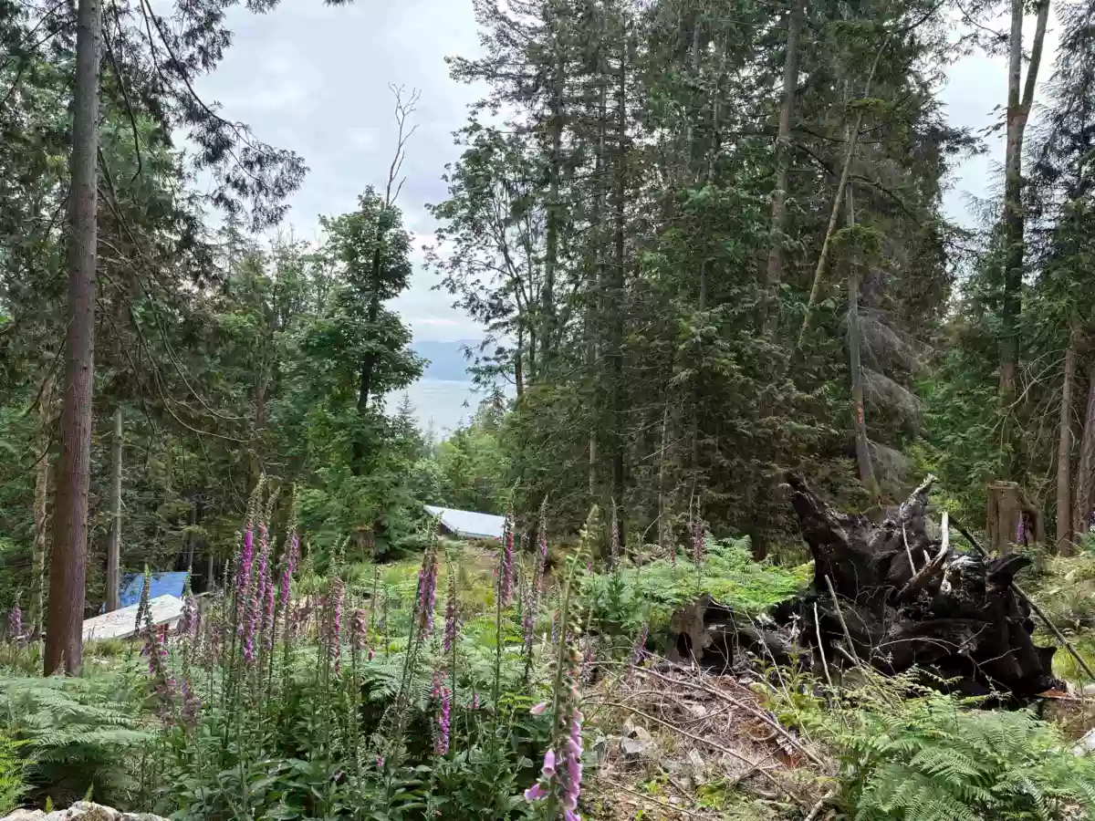 Breakfast Nook Photo of 883 West Bay Road, Gambier Island, BC
