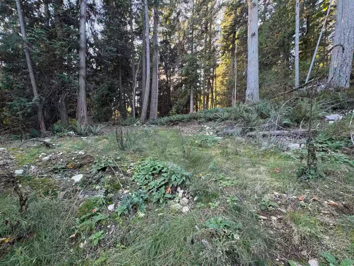 Living Room Photo of 883 West Bay Road, Gambier Island, BC