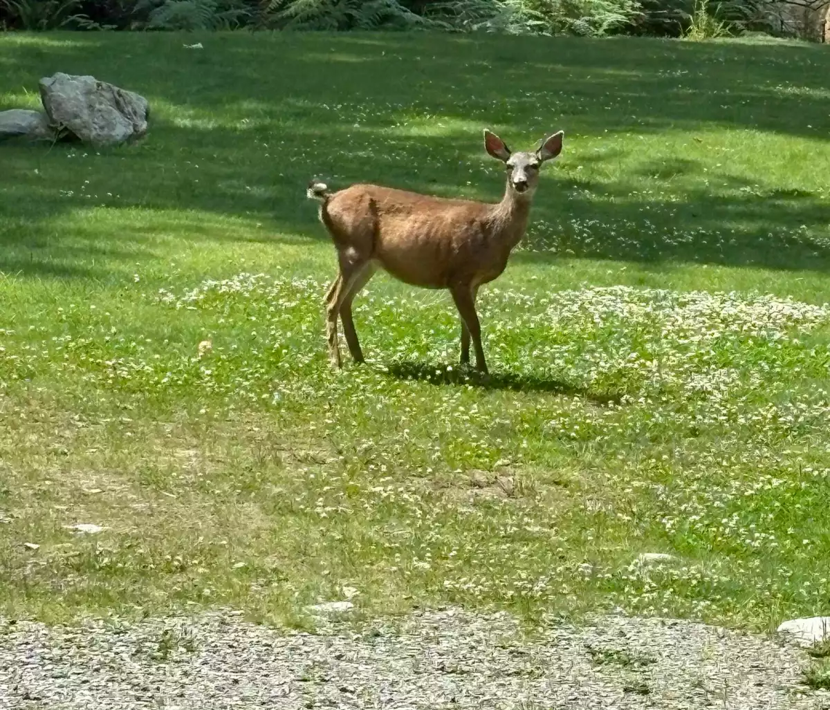 Mudroom Photo of 883 West Bay Road, Gambier Island, BC