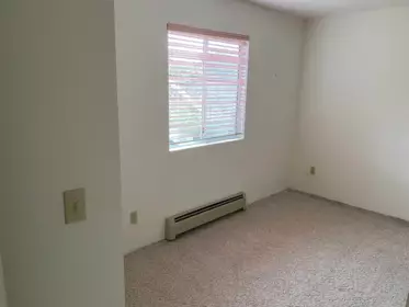 Primary Bedroom Photo of 14222 91 Avenue, Surrey, BC