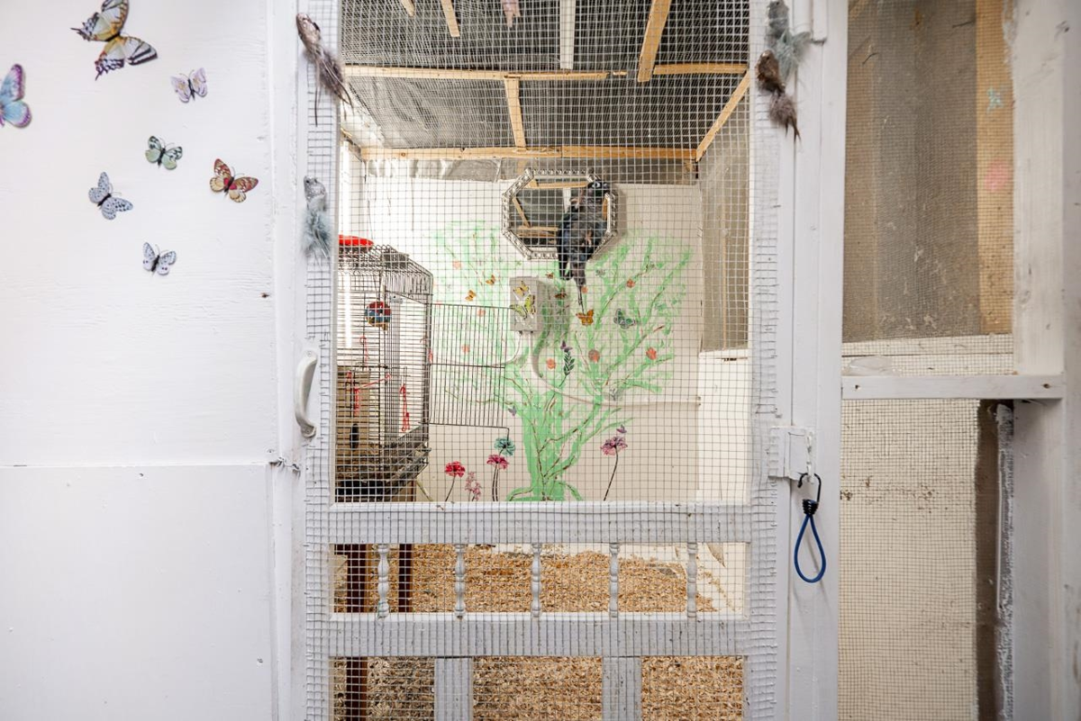 Powder Room Photo of 1 46430 First Avenue, Chilliwack, BC