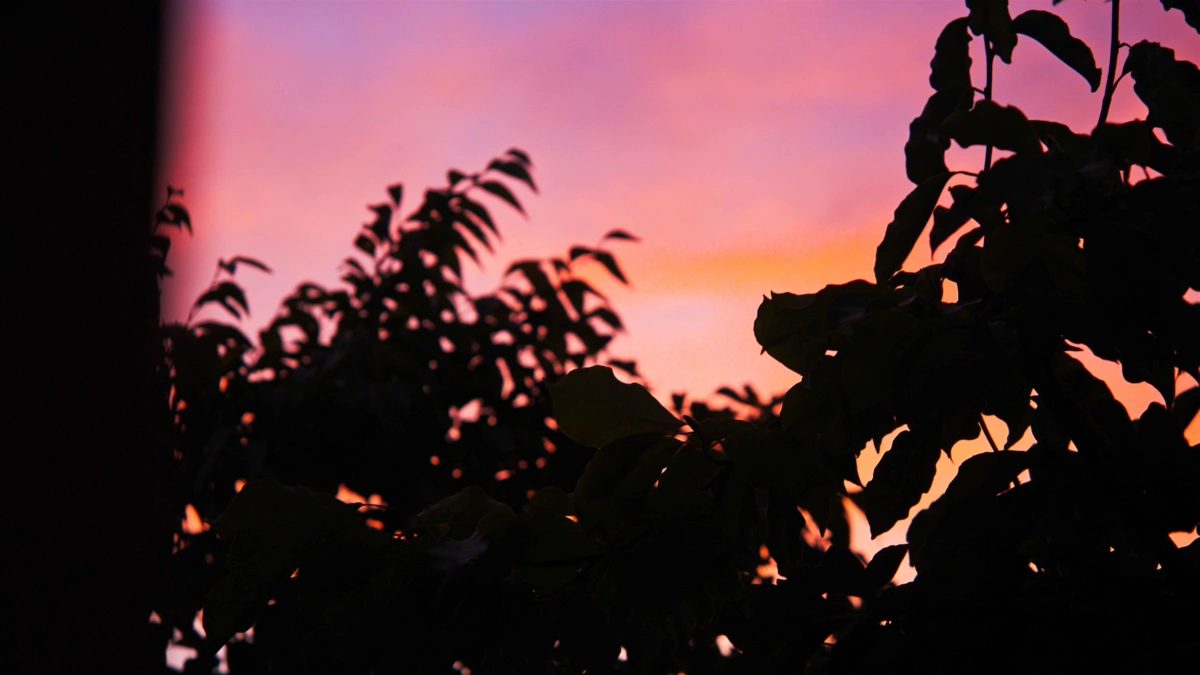 Community Amenities Photo (Clubhouse) of 41 7177 194a Street, Surrey, BC