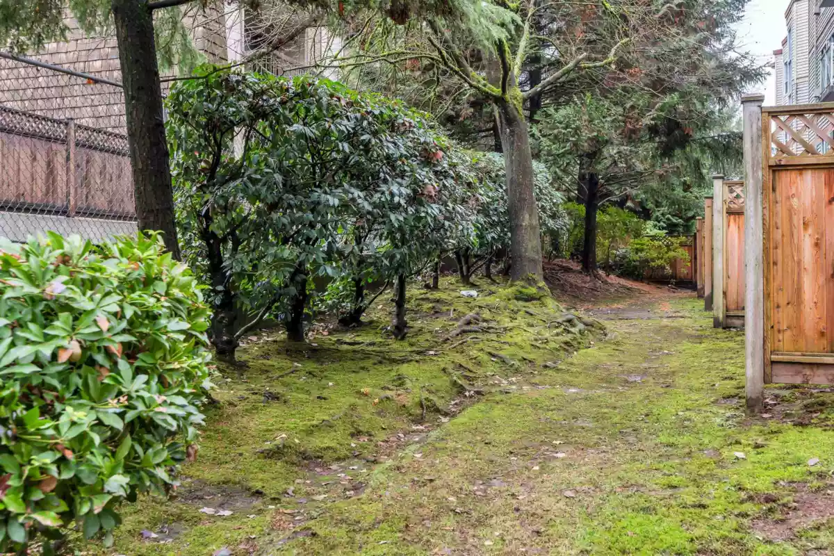 Hallway Photo of 311 528 Rochester Avenue, Coquitlam, BC