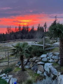 Playground / Recreational Area Near 2247 Pixton Road, Roberts Creek, BC