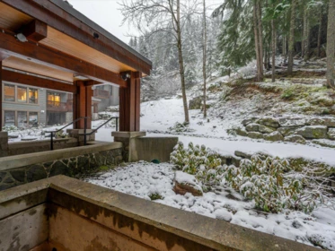 Entry Foyer Photo of 221 2202 Gondola Way, Whistler, BC