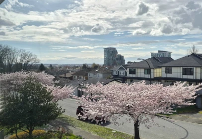 8162 Haig Street, Vancouver, BC