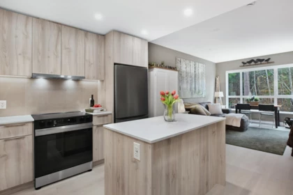 312 3596 Malsum Drive, North Vancouver, BC
