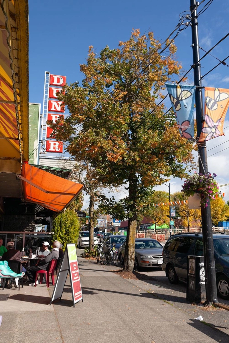 Aerial View of 3941 W 19th Avenue, Vancouver, BC