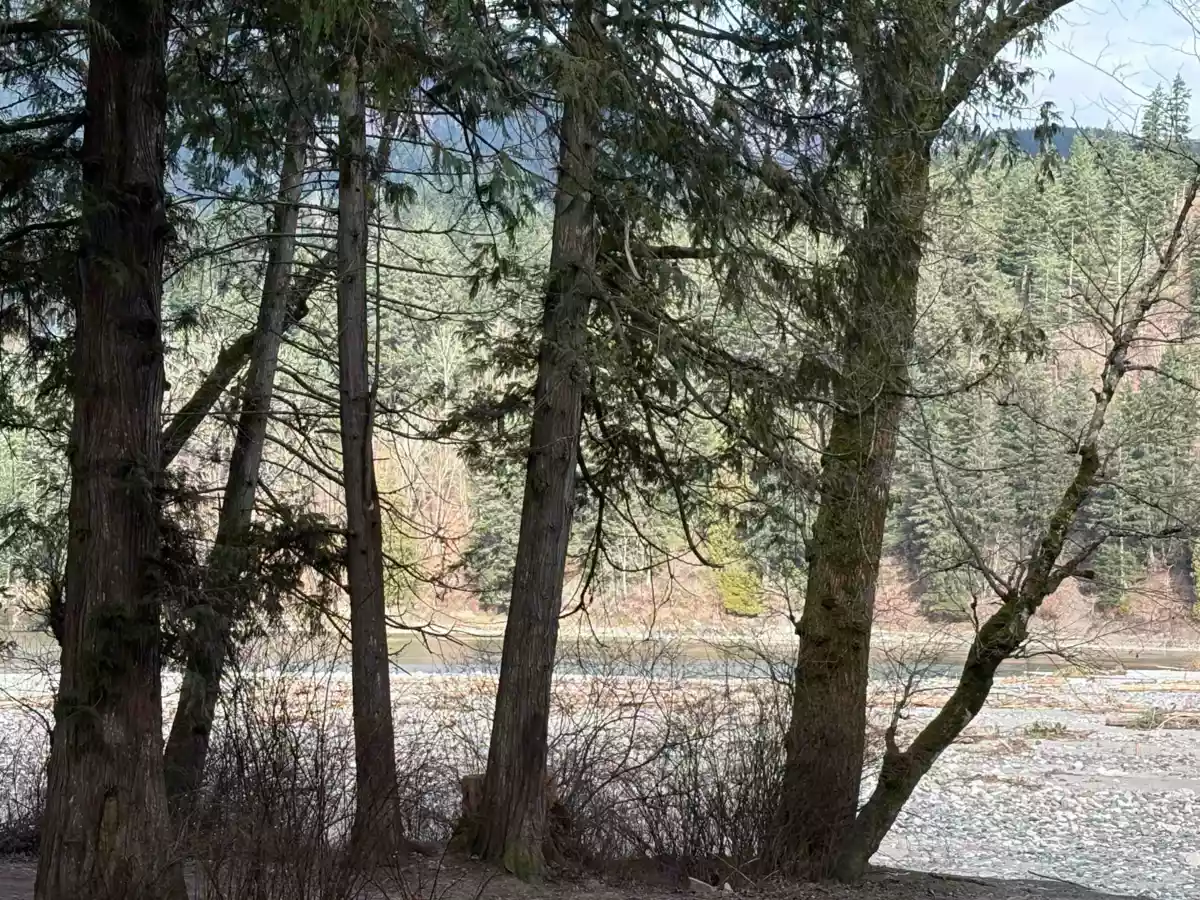 Bedroom 2 Photo of 689 Hazel Street, Hope, BC