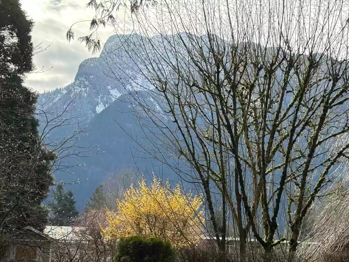 Dining Area Photo of 689 Hazel Street, Hope, BC