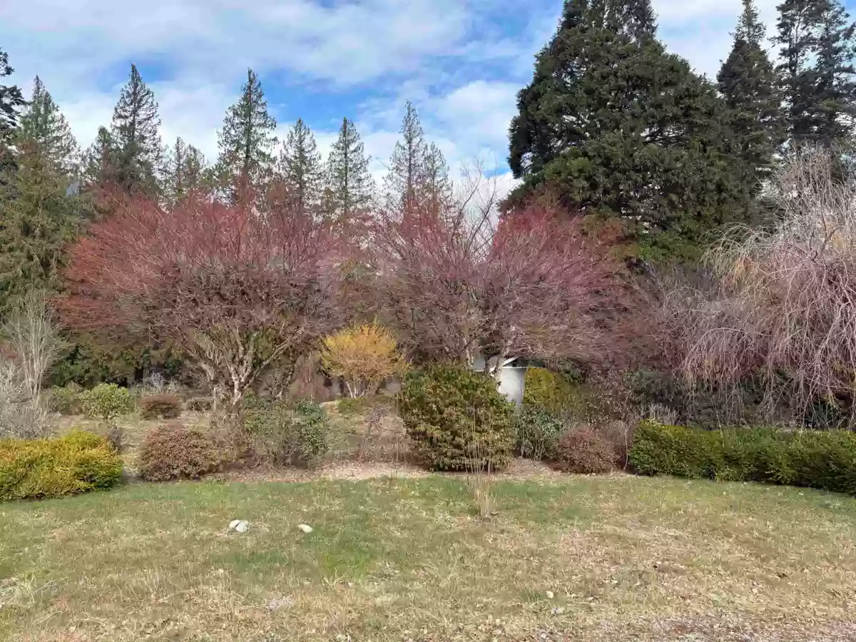 Kitchen Photo of 689 Hazel Street, Hope, BC