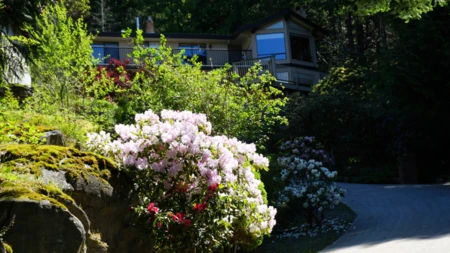 8846 Redrooffs Road, Halfmoon Bay, BC, Halfmoon Bay — Single Family Residence for sale