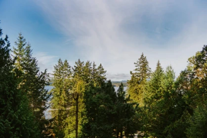 Pantry Photo of 8846 Redrooffs Road, Halfmoon Bay, BC