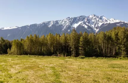 LOT 1 Pemberton Farm Road, Pemberton, BC, Pemberton —  bed land for sale