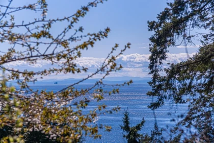 Playground / Recreational Area Near 5260 Kew Road, West Vancouver, BC