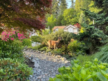 Street View Photo of 11 Harbour Place, Port Moody, BC