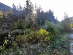 RLL1 Strawberry Lane, Hope, BC