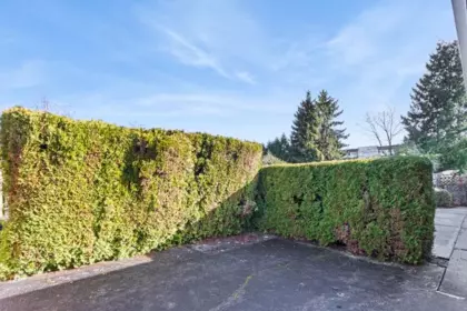 Backyard Photo of 22641 Brown Avenue, Maple Ridge, BC